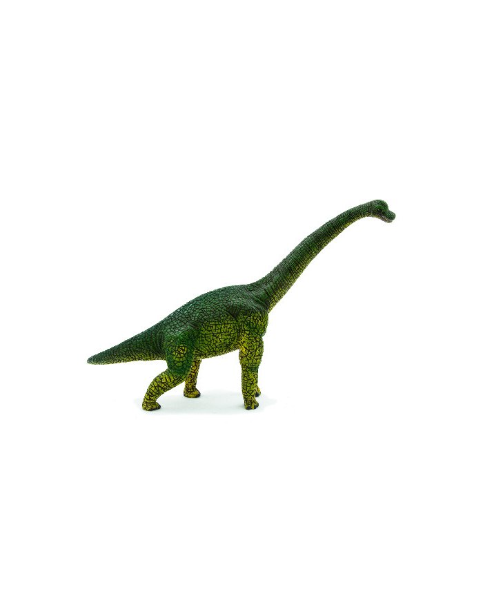 ANIMAL P. Brachiozaur główny