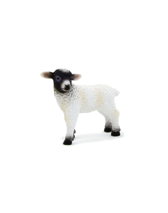 ANIMAL P. Owieczka czarnogłówka stojąca główny