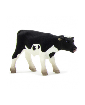 ANIMAL P. Cielę rasy holsztyńskiej nr 1