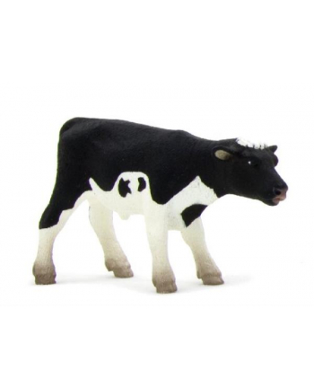 ANIMAL P. Cielę rasy holsztyńskiej nr 2