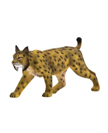 ANIMAL P. Ryś iberyjski