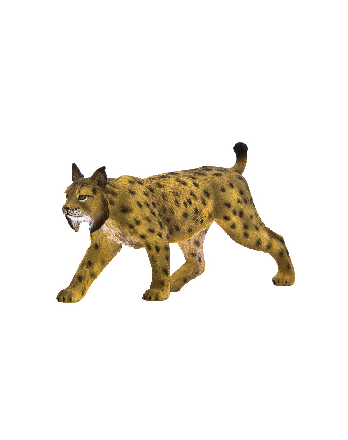 ANIMAL P. Ryś iberyjski główny