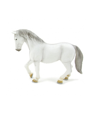 ANIMAL P. Klacz lipicańska