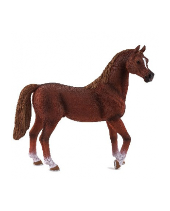 ANIMAL P. Czarnobiały koń