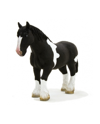 ANIMAL P. Czarnobiały koń