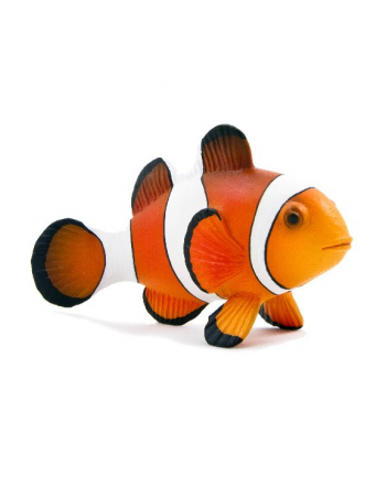 ANIMAL P. Błazenek okoniowy nr 2