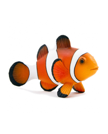 ANIMAL P. Błazenek okoniowy nr 1