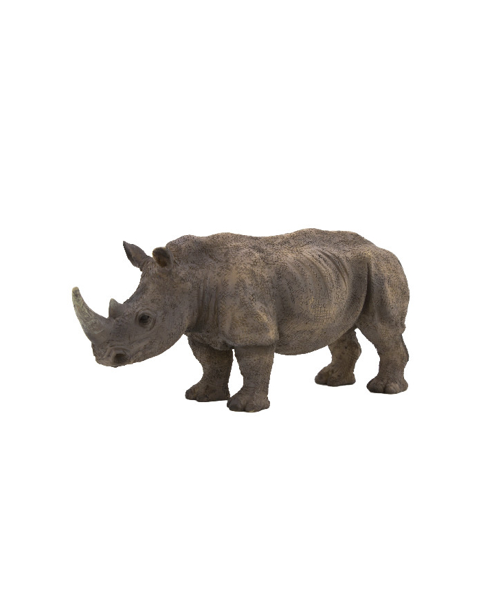 ANIMAL P. Nosorożec biały główny