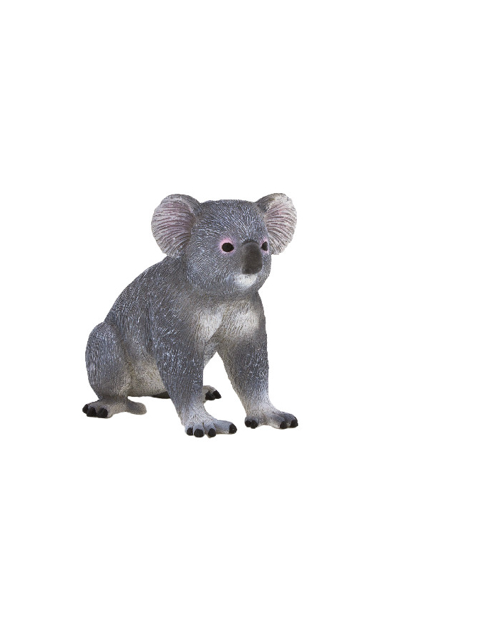 ANIMAL P. Miś koala główny