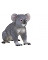 ANIMAL P. Miś koala - nr 4