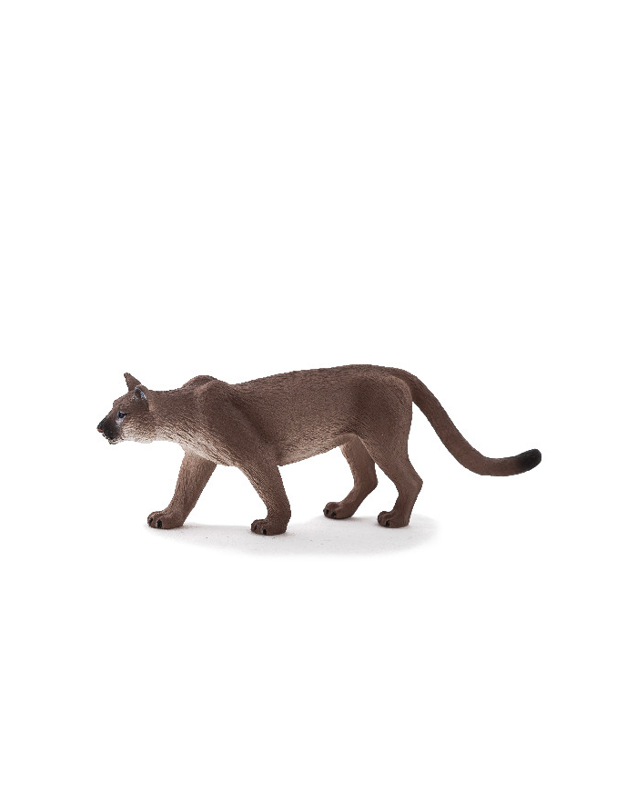 ANIMAL P. Puma główny