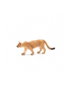 ANIMAL P. Puma - nr 5