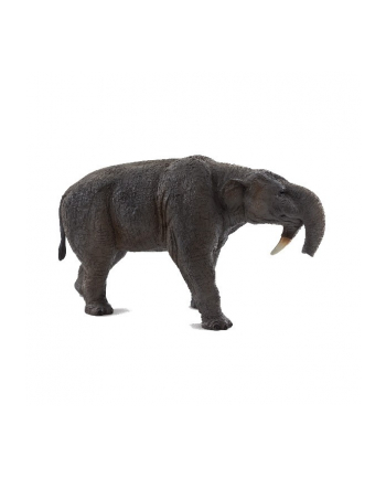 ANIMAL P. Deinotherium