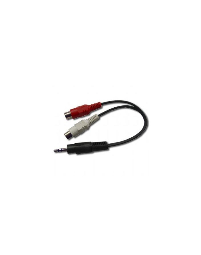 Kabel MINIJACK/2xRCA(Cinch) M/F 20cm główny