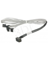 ADAPTEC kabel ACK-I-rA-HDmSAS-4rASATA-SB 0.8m - nr 1