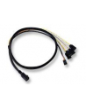 KABEL LSI CBL-SFF8643-SATASB-10M 12Gb/s WEW - nr 7