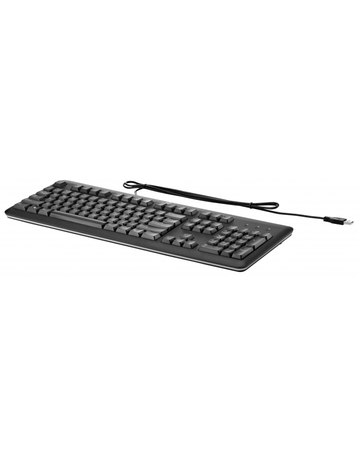 HP USB Keyboard                  QY776AA główny