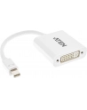 Mini DisplayPort(M) to DVI-D(F) Cable - nr 25