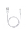 Apple Przewód ze złącza Lightning na USB (0,5 m) ME291ZM/A - nr 1