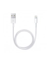 Apple Przewód ze złącza Lightning na USB (0,5 m) ME291ZM/A - nr 28