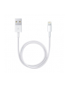 Apple Przewód ze złącza Lightning na USB (0,5 m) ME291ZM/A - nr 16