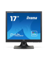 iiyama LCD LED 17'' Prolite E1780SD-B1 5ms, DVI, głośniki, czarny - nr 13