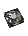 Enermax PC cooling fan 80mm, Twister cooling series, low-noise Profile, 100.000 hours MTBF, PWM,  4pin, for cpu coolers,  PSU, cases - nr 6