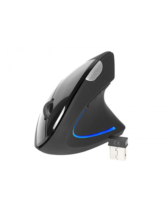 Mysz TRACER Flipper RF nano USB Ergonomiczna główny