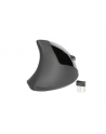 Mysz TRACER Flipper RF nano USB Ergonomiczna - nr 32