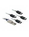 Delock kabel SAS mini 26pin -> 4x eSATA (SFF 8088 - 4x eSATA) 1m - nr 2