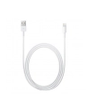 Apple Lightning to USB Camera Adapter (2m) - nr 10