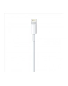 Apple Lightning to USB Camera Adapter (2m) - nr 19