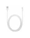 Apple Lightning to USB Camera Adapter (2m) - nr 31