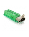 Delock Adapter Terminal Block (20-pin) -> HDMI - nr 10