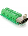 Delock Adapter Terminal Block (20-pin) -> HDMI - nr 11