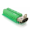Delock Adapter Terminal Block (20-pin) -> HDMI - nr 14