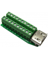 Delock Adapter Terminal Block (20-pin) -> HDMI - nr 1