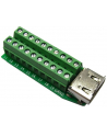 Delock Adapter Terminal Block (20-pin) -> HDMI - nr 2