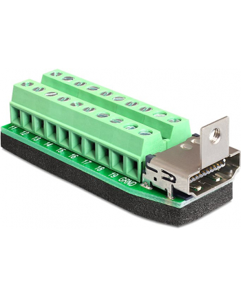 Delock Adapter Terminal Block (20-pin) -> HDMI