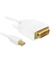 Delock kabel Displayport mini (M) ->DVI (M) 24+1PIN 2m - nr 13
