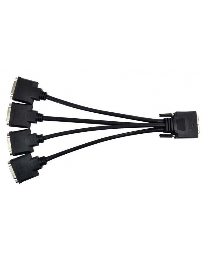 Matrox Cable KX-20 to 4 x DVI-I główny