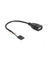 Delock kabel USB AF 2.0 -> Pin Header 20cm - nr 6