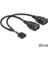 Delock kabel USB AFX2 2.0 -> 2x Pin Header 20cm - nr 10