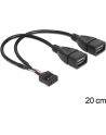 Delock kabel USB AFX2 2.0 -> 2x Pin Header 20cm - nr 11
