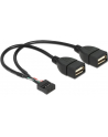 Delock kabel USB AFX2 2.0 -> 2x Pin Header 20cm - nr 12