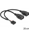 Delock kabel USB AFX2 2.0 -> 2x Pin Header 20cm - nr 13