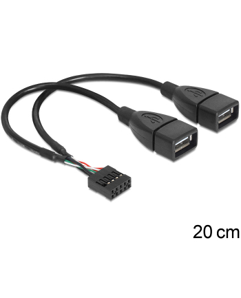 Delock kabel USB AFX2 2.0 -> 2x Pin Header 20cm