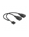 Delock kabel USB AFX2 2.0 -> 2x Pin Header 20cm - nr 14