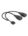 Delock kabel USB AFX2 2.0 -> 2x Pin Header 20cm - nr 15