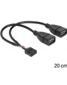 Delock kabel USB AFX2 2.0 -> 2x Pin Header 20cm - nr 1